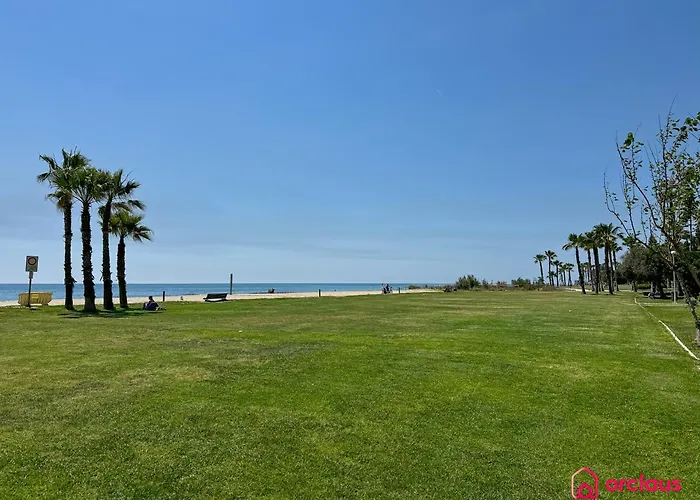 Mare Aureum Lejlighed